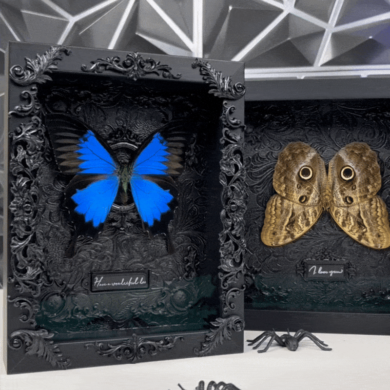 GothFrame - Real Butterfly 3d Frame