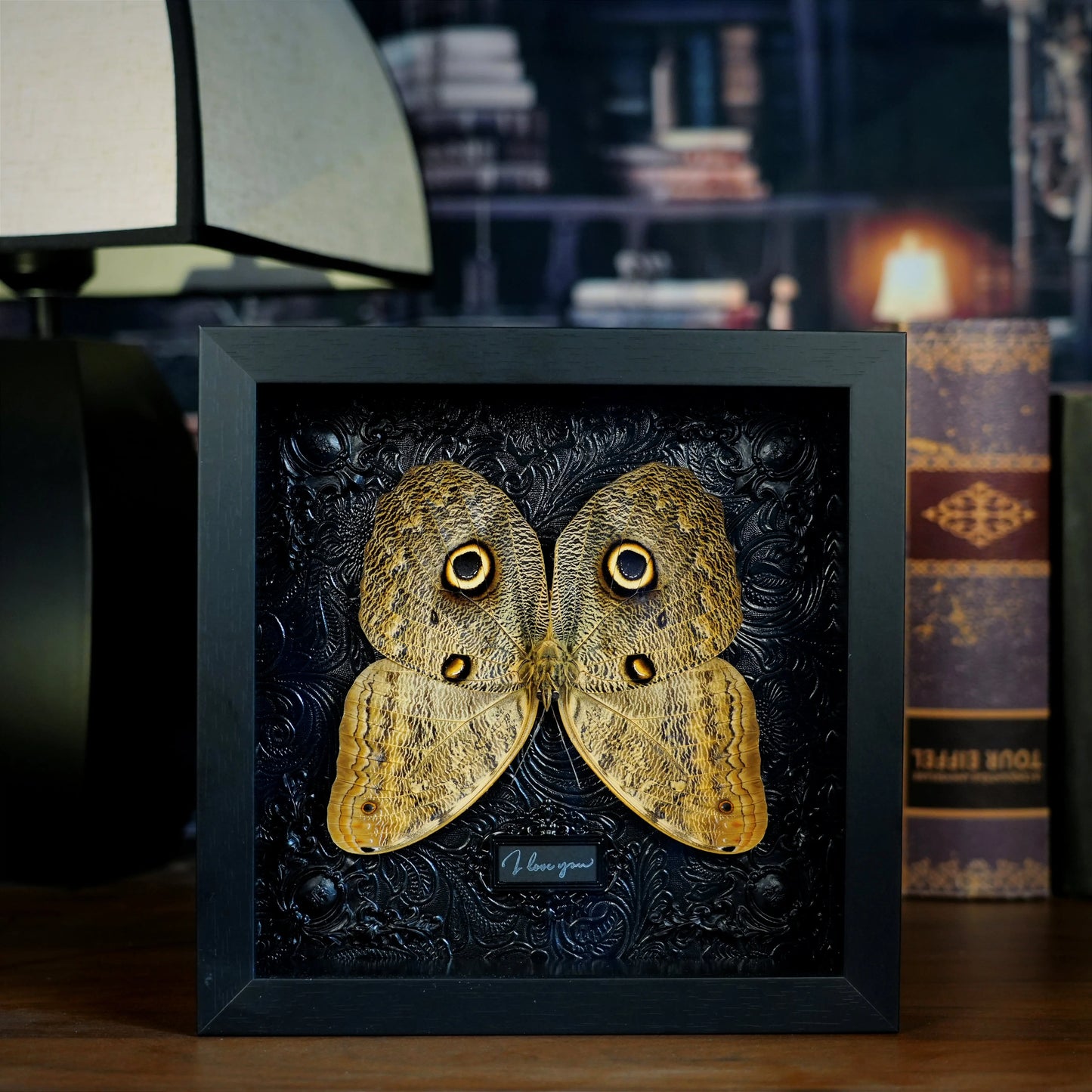 GothFrame - Real Butterfly 3d Frame