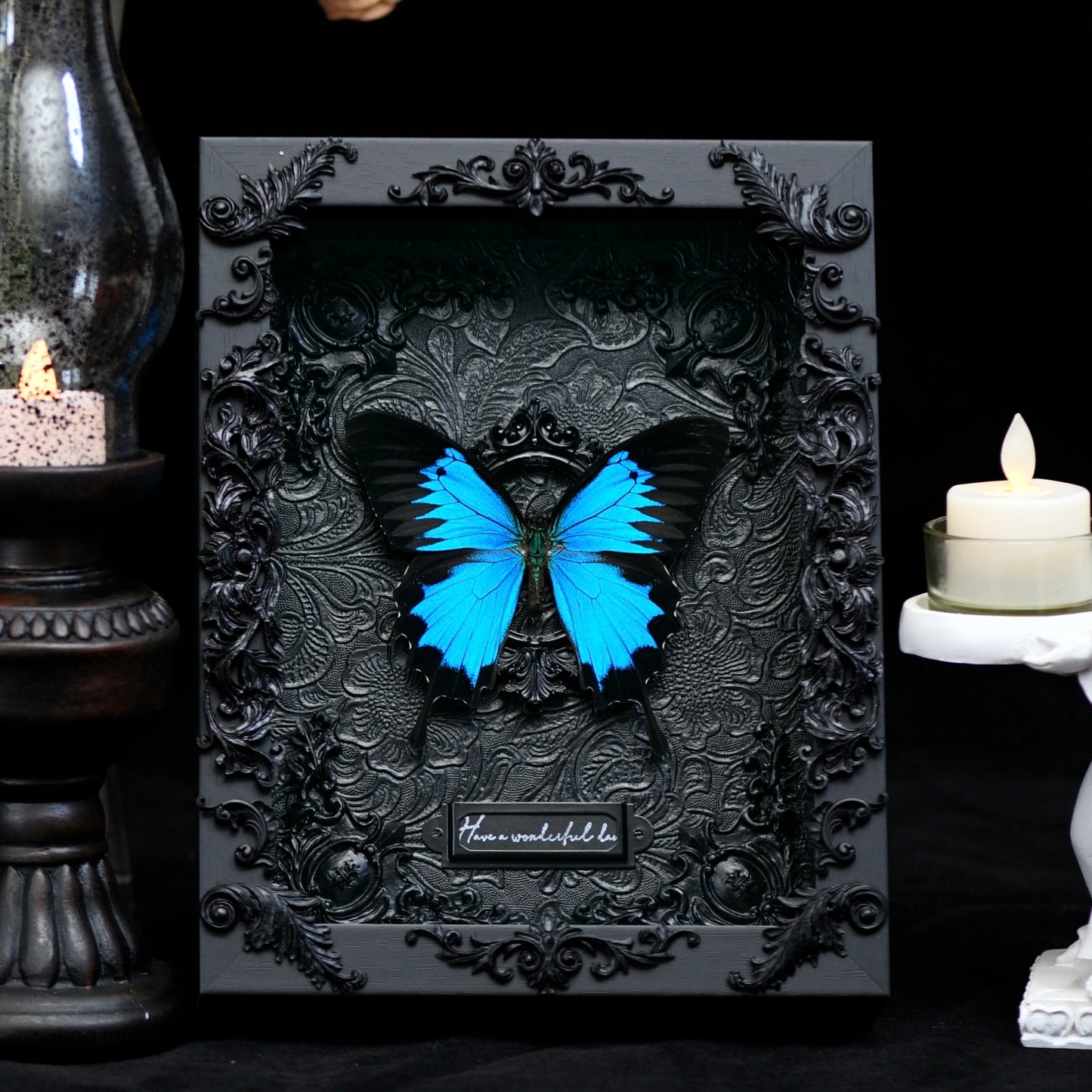 GothFrame - Real Butterfly 3d Frame