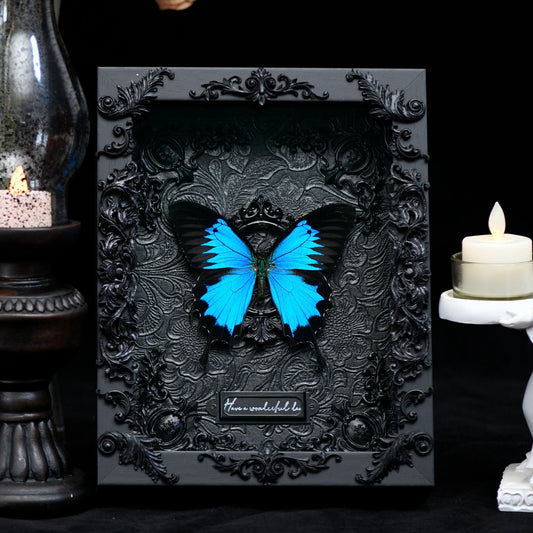 GothFrame - Real Butterfly 3d Frame